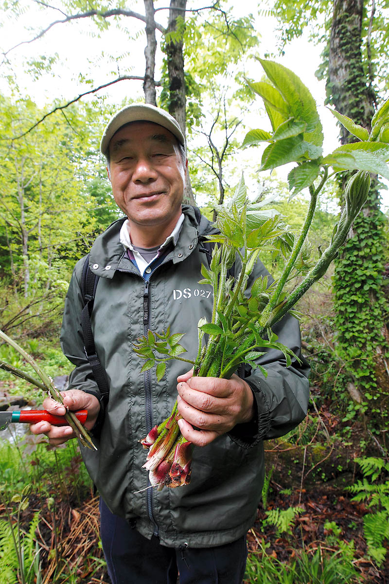 渓流釣りで見つかる美味しい山菜図鑑 | つり人オンライン