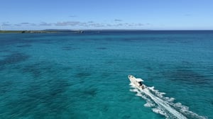 なぜ真夏でも釣れる場所があるのか？溶存酸素で読む魚の居場所