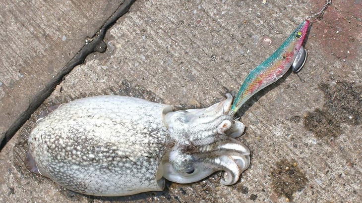 siriyakeika