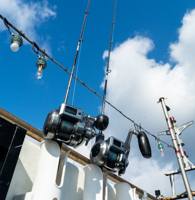 tackle-Mar-27-2026-01-37-05-2407-AM