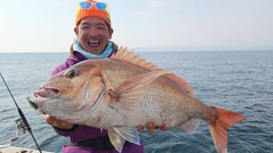 マダイはなぜタイラバに食う？ジグとの違いは？年間200日船に乗る名手の結論