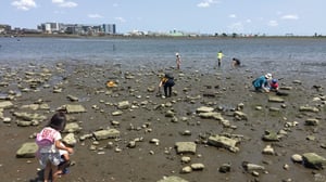 「死の川」から復活した多摩川。身近な自然が教えてくれる命の授業