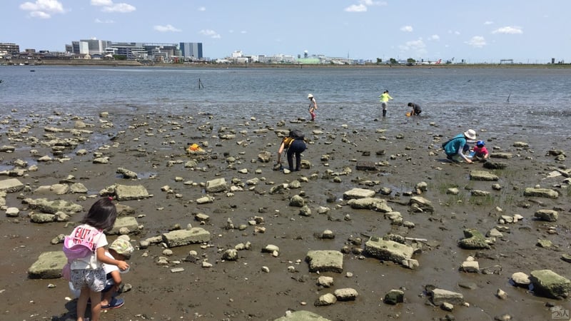 「死の川」から復活した多摩川。身近な自然が教えてくれる命の授業