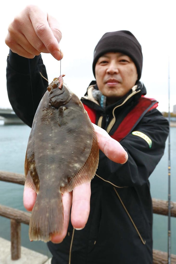 大阪府貝塚市 貝塚人工島のカレイ釣り 全国おすすめ釣り場