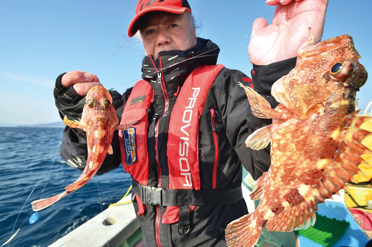 魚釣り タチウオ | 釣り船やざわ