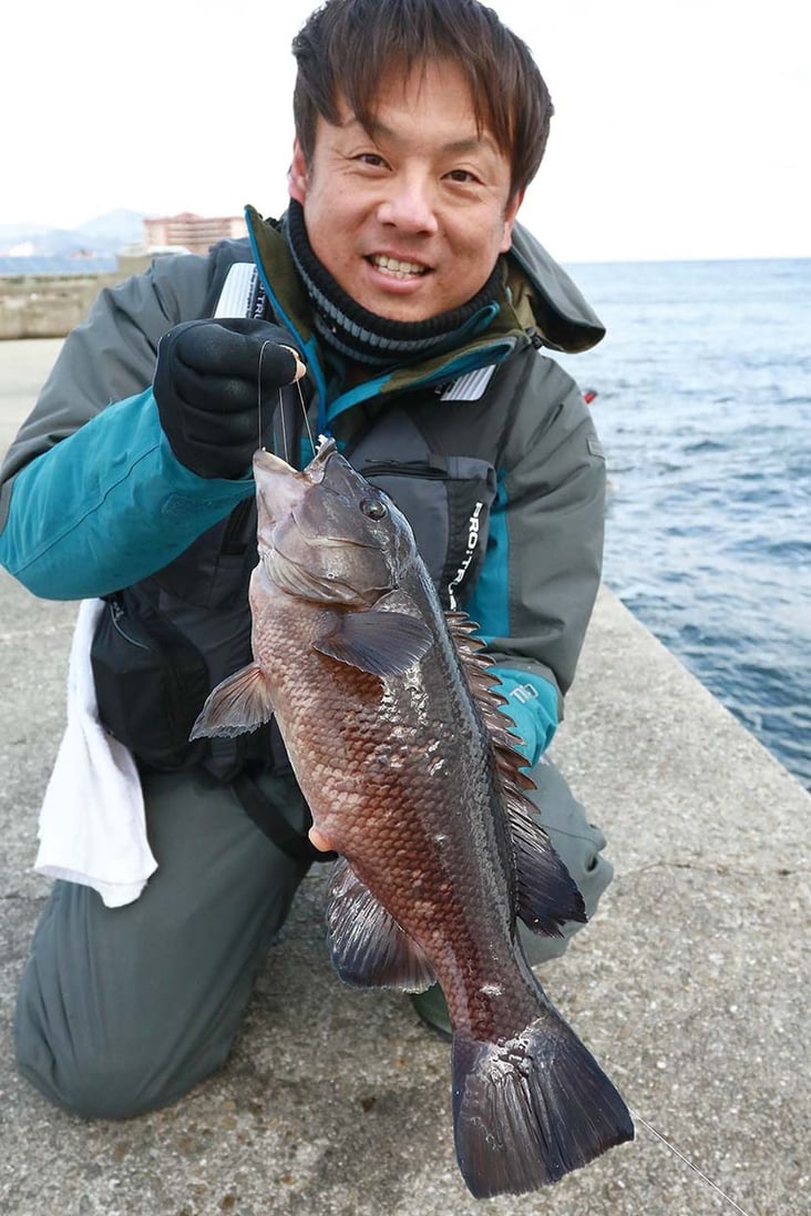 兵庫県淡路市 志筑新島のコブダイ釣り 全国おすすめ釣り場