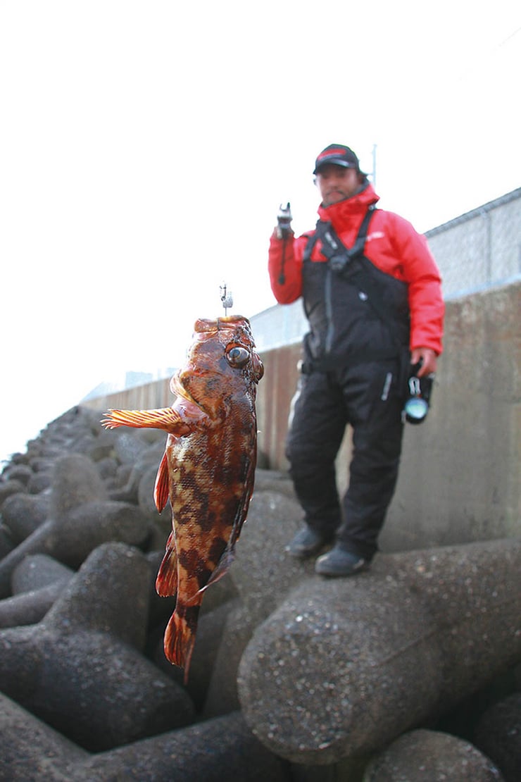 全国おすすめ釣り場ガイド 千葉県 袖ヶ浦市 カサゴ 全国おすすめ釣り場 全国おすすめ釣り場ガイド 千葉県 袖ヶ浦市 カサゴ 全国おすすめ釣り場