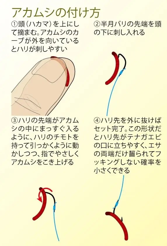 アカムシの付け方
