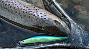 浮き上がりで食わす！フローティングミノーで攻略する本流トラウト【北海道】