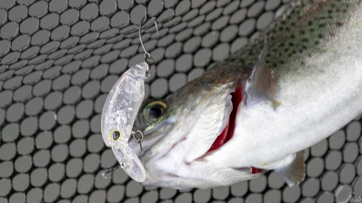 ミッツドライ・ラトル 2Hook