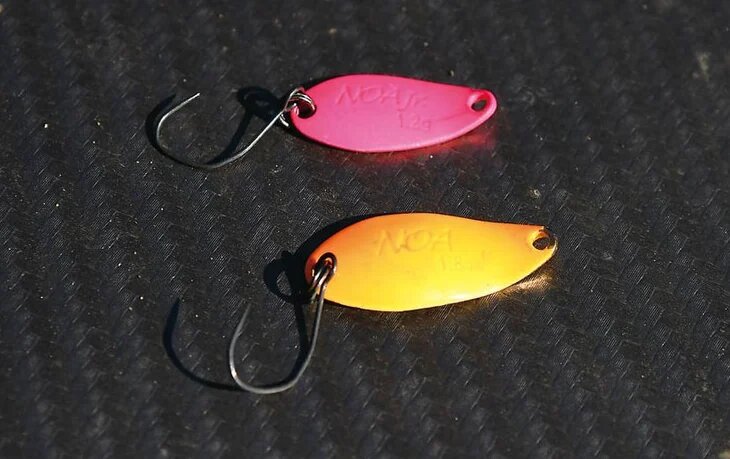 trout-area-satio (3)-1