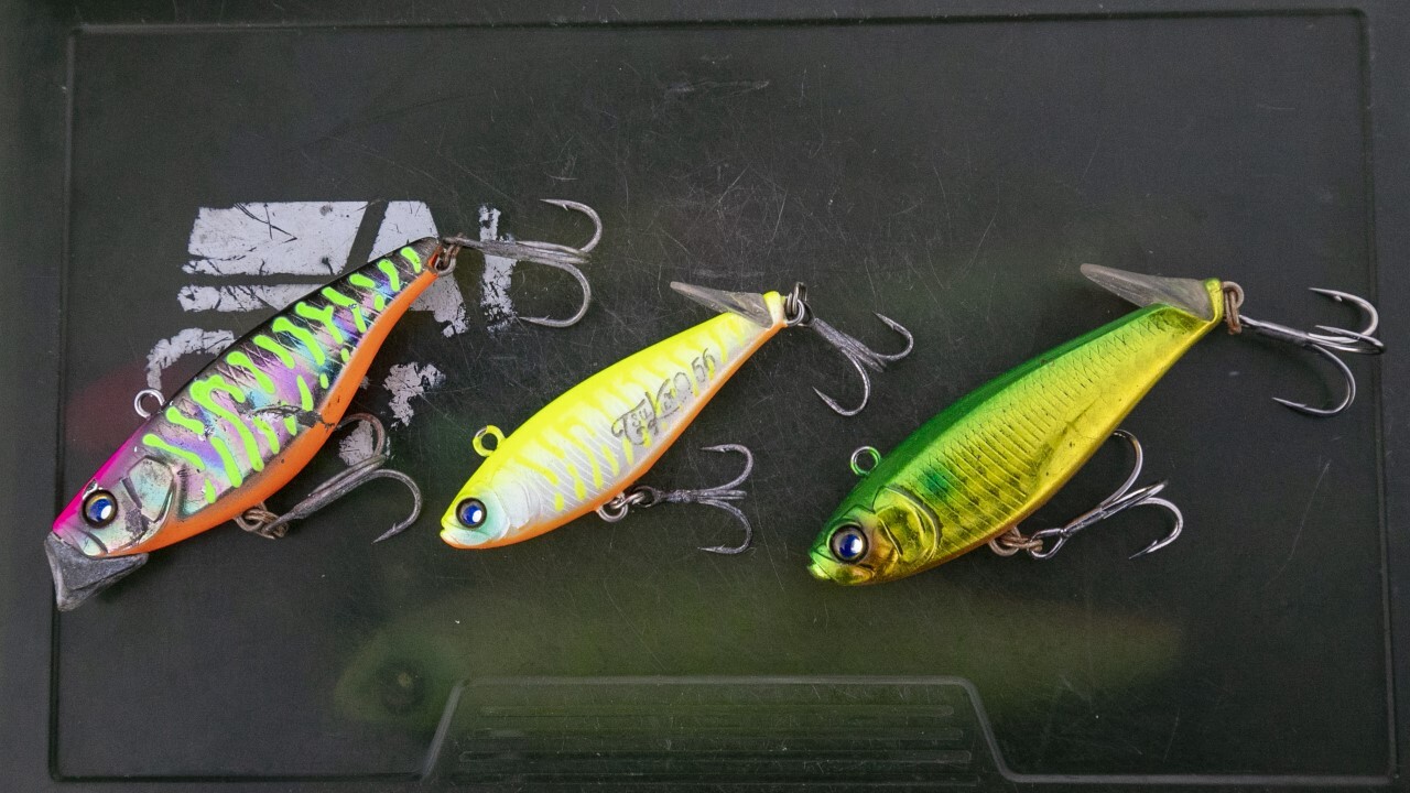 東京湾奥シーバス】秋はシャローが激アツ！釣果を分ける「ベイト・流れ