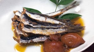 【カタクチイワシの食べ方】刺身や梅干し煮など定番レシピ5選を紹介