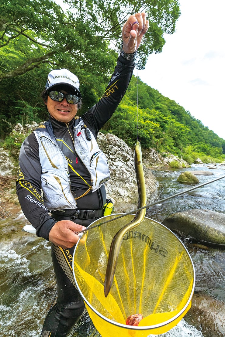 静岡県 狩野川 ウナギの穴釣りは一気に引き抜くのがキモ その3 全3回 全国おすすめ釣り場