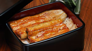 なぜ「天然魚」より「養殖魚」のほうが美味いことがあるのか？