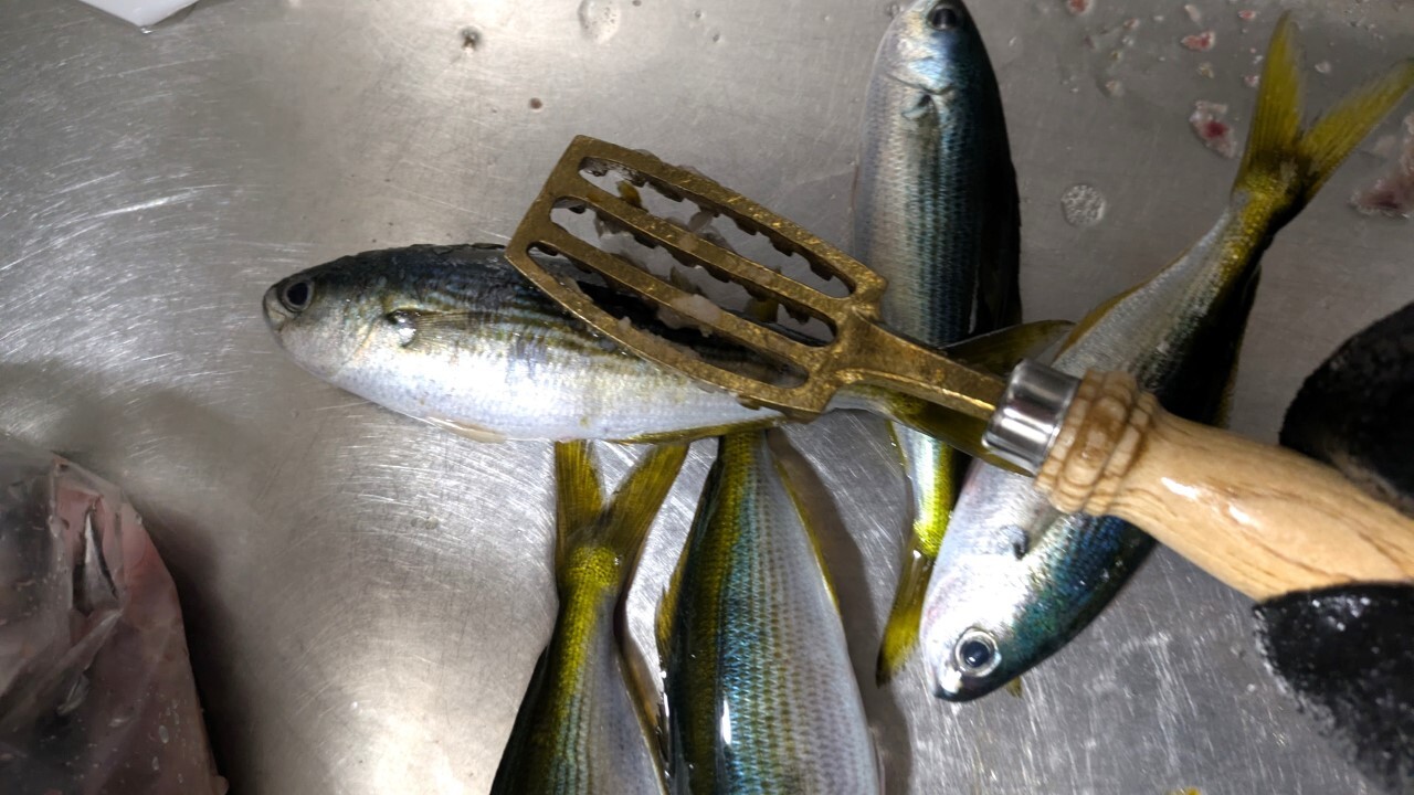 うろこ取り 味道で魚のうろこを取る