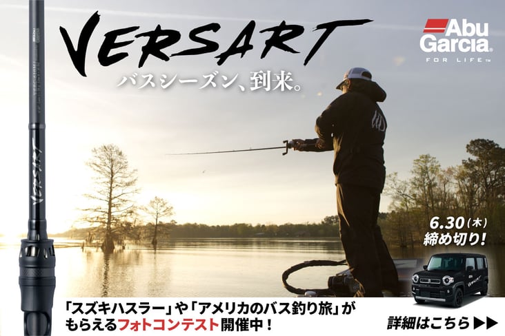 22年 バスロッドおすすめ人気ランキング選 選び方も解説 魚種別釣りガイド 22年 バスロッドおすすめ人気ランキング選 選び方も解説 魚種別釣りガイド