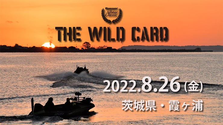 wild-kasumi02