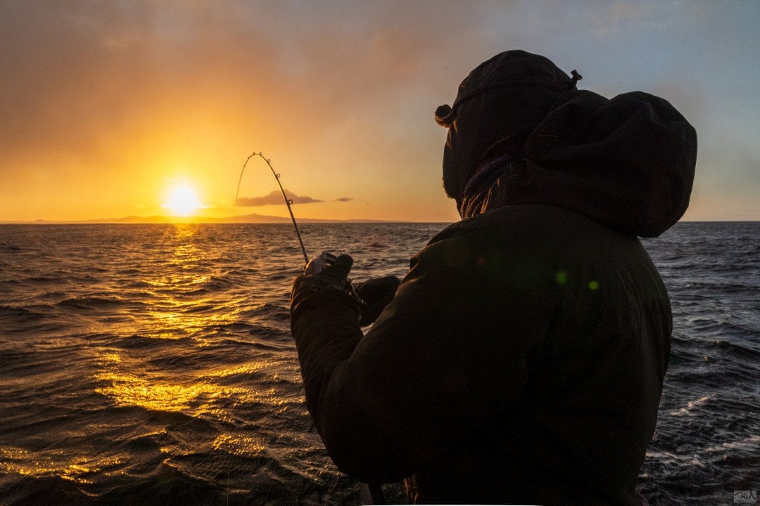 yamamoto-Mar-27-2026-01-25-55-5935-AM