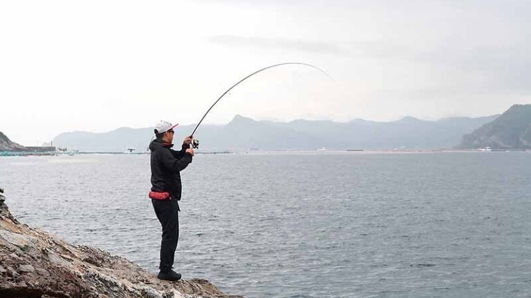 秋エギング攻略】なぜ、アオリイカが釣れないのか？釣果アップのために