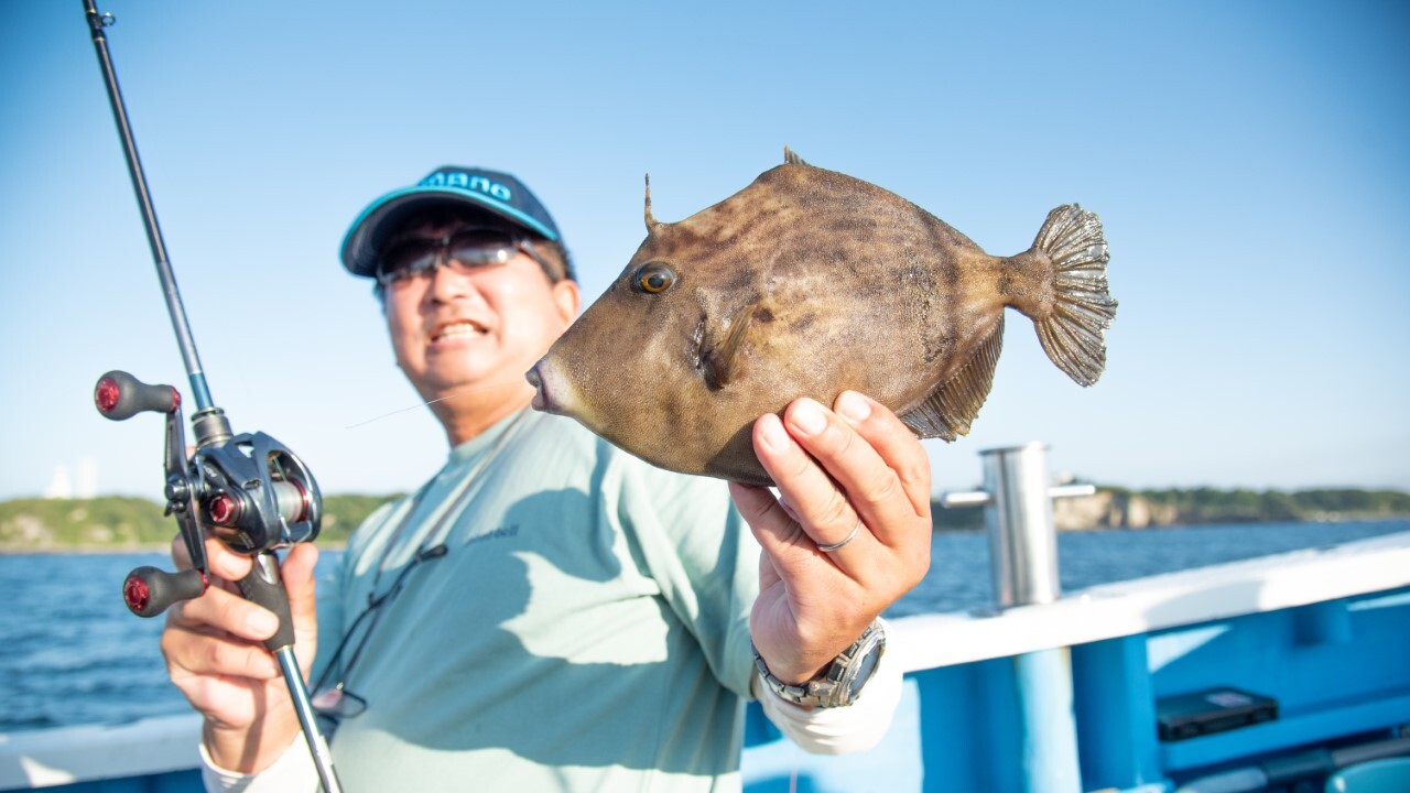 SHIMANO ステファーノ 攻 LS175 （カワハギ） ステファーノ リミテッド M175[STEPHANO LIMITED M175