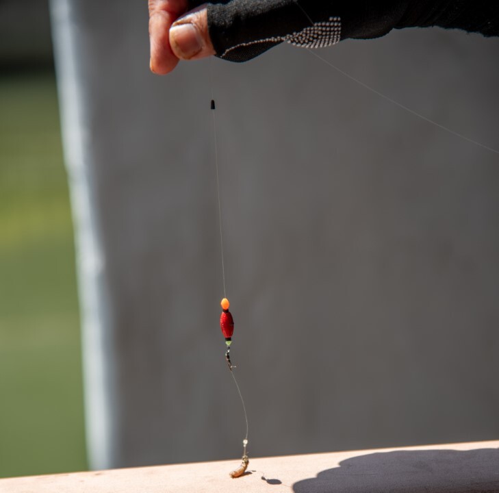 東京下町デカハゼハンターが明かす、大型だけをピンポイントで狙う釣り