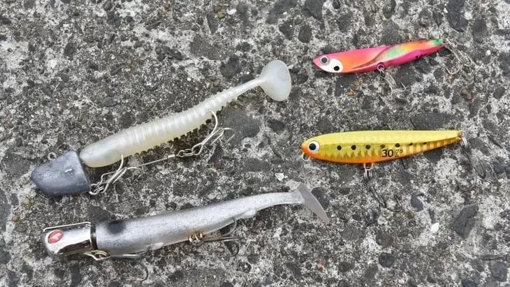 マゴチのルアー釣り】最初の1匹を釣るための4つの基本：時間帯や