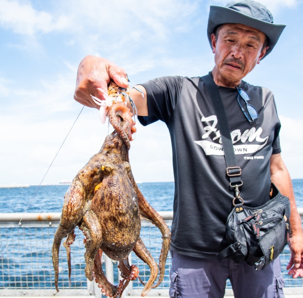 横浜・オカッパリマダコ】遠投の大黒、大物の磯子、安定の本牧 3大“海