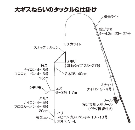 シロギスの夜投げ仕掛け図