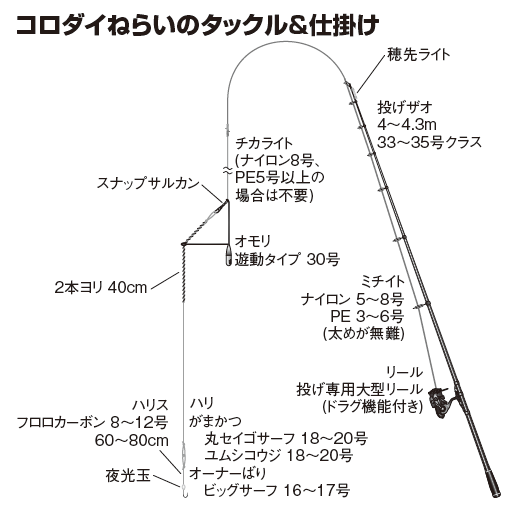 コロダイ釣りのタックルと仕掛け