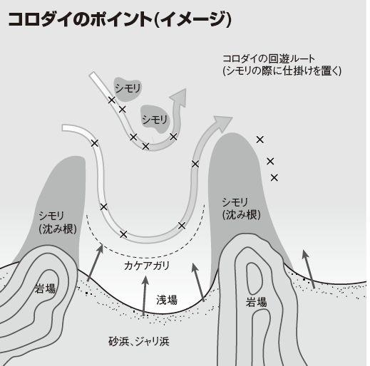 コロダイ釣りでねらいたいポイント