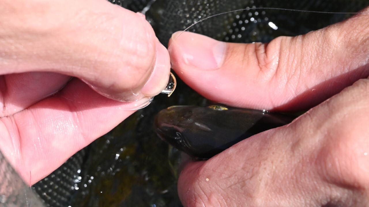 ハナカンをしっかりつまむ