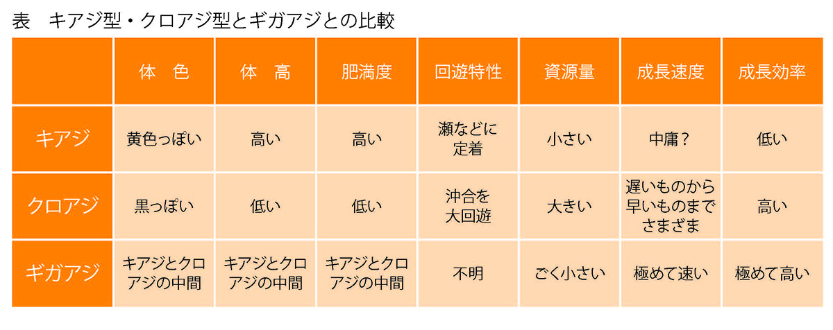 成長比較グラフ