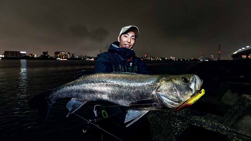 東京都／荒川　変化の秋のシーバスねらい