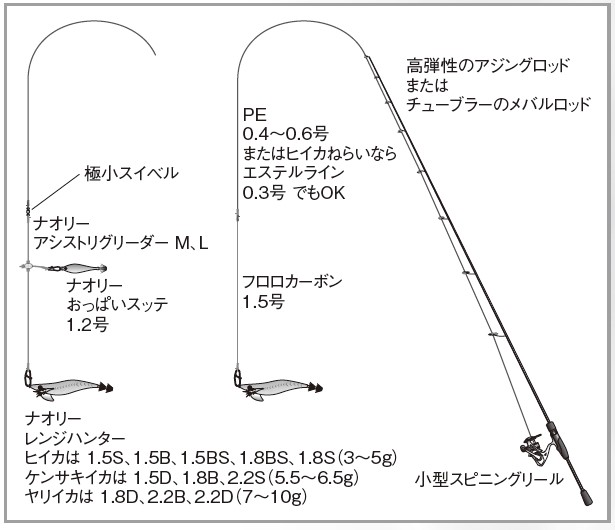 ヒイカねらいのタックルと仕掛けの図。高弾性のアジングロッドと小型スピニングリール、PE0.4〜0.6号またはエステルライン0.3号、フロロカーボン1.5号のリーダーに、アシストリグリーダーとスッテ1.2号、餌木1.5〜1.8号