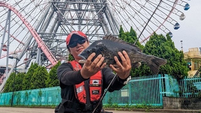 神奈川県／みなとみらい　首都圏のヘチ釣り特区でクロダイを狙う