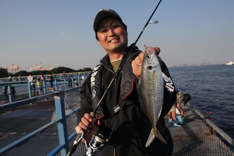 21年 アジングロッドおすすめランキング18選 人気 評判 魚種別釣りガイド