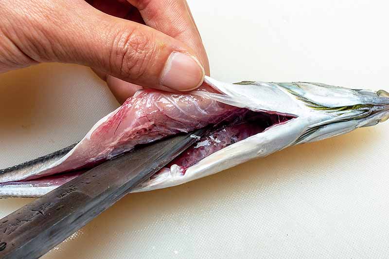 4. 逆さ包丁で中骨と腹骨をつなぐ軟骨を切り離す