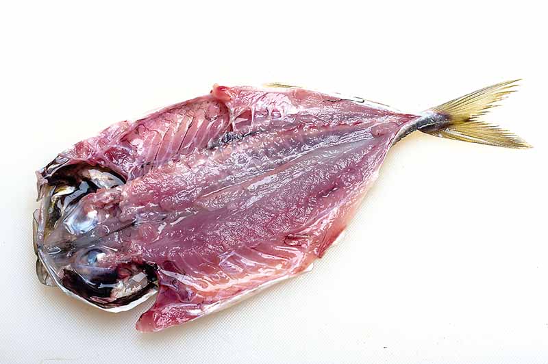 12. 完成したアジの腹開き
