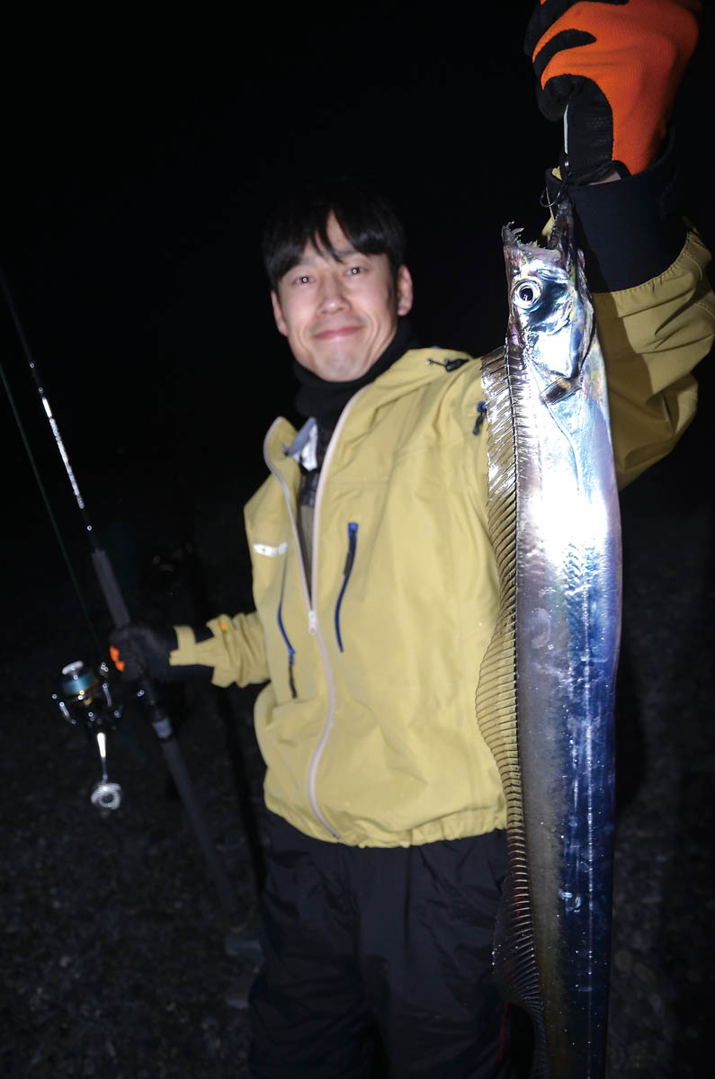 ハマチと並んで人気のターゲットがタチウオ