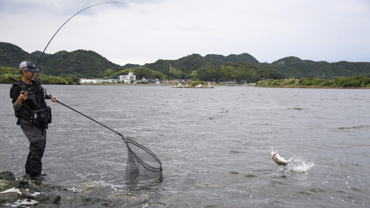 ホームグラウンドの山口エリアにはない独特の雰囲気にハマり、年に何度か中海を訪れるよう になった藤田さん。普段は流れを一番に意識し て釣るが、中海では流れよりも回遊ルートを含めた地形を意識した釣りでヒットを量産