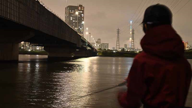 東京都／荒川　シーバス釣行の勘所│サイズアップしたいなら サッパに注目！