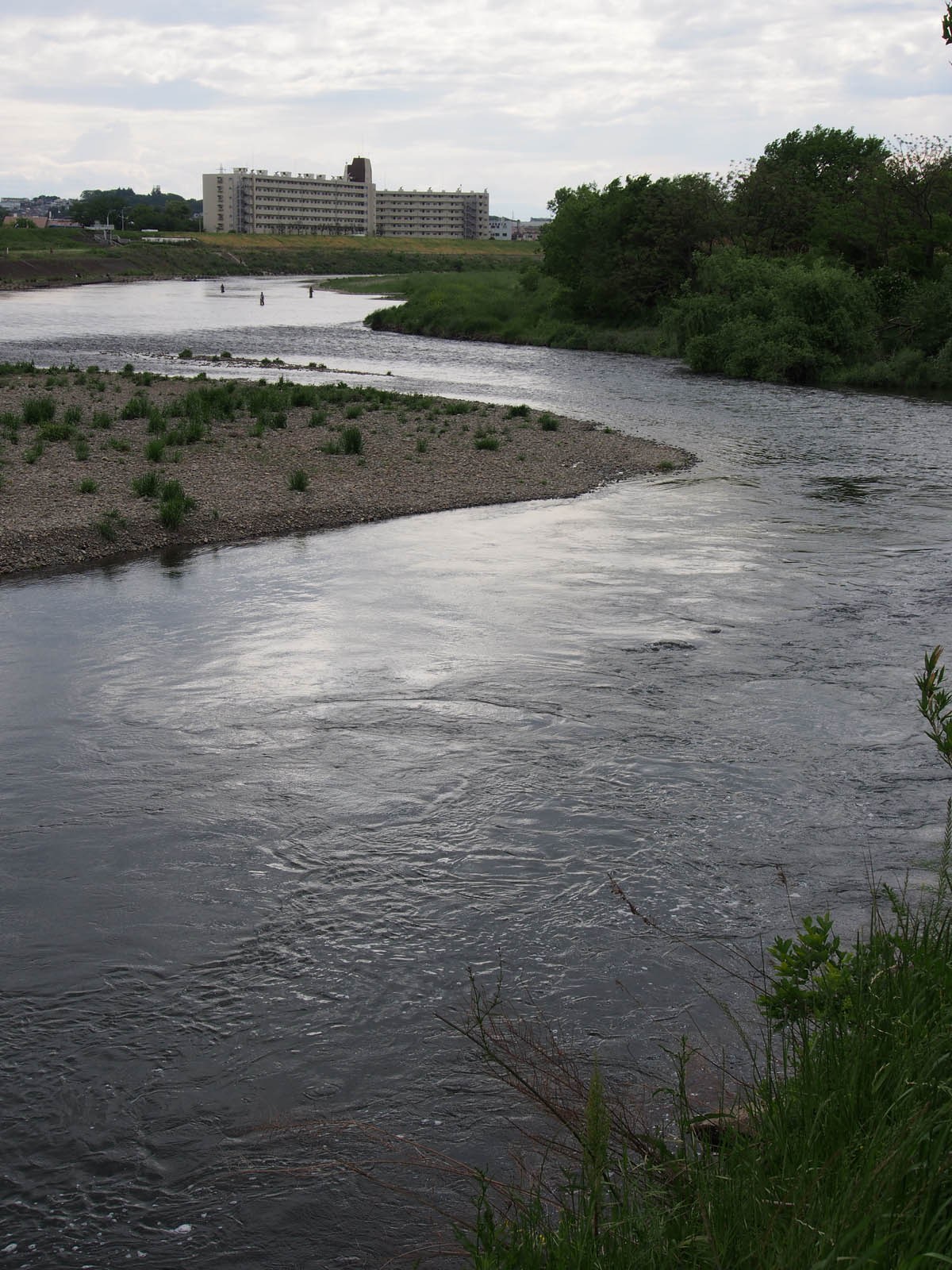 蛇行して深場と浅場のある河川