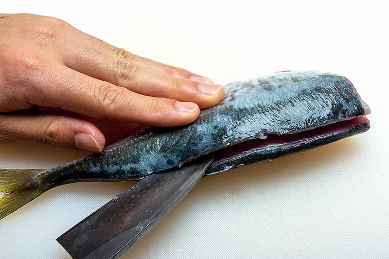 1. 頭を落として内臓を掃除し、片側の背身を切り開く