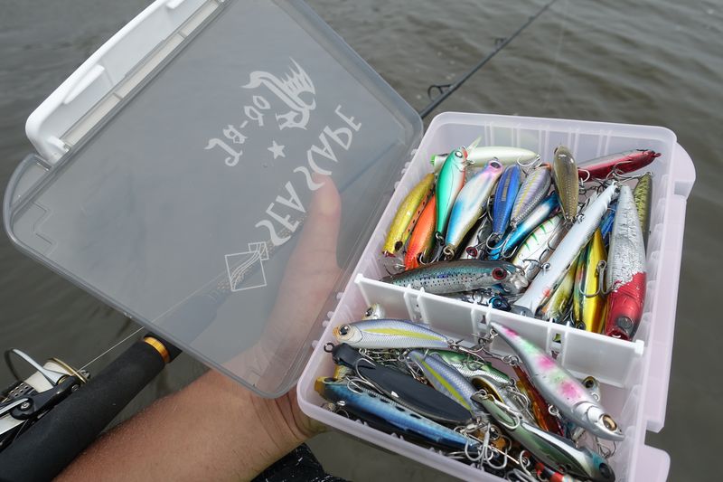 シーバス釣り ルアーボックスに見る釣れないアングラーの傾向とは 魚種別釣りガイド