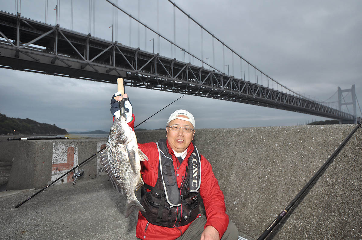 マダイをねらっているとクロダイが混じることもある