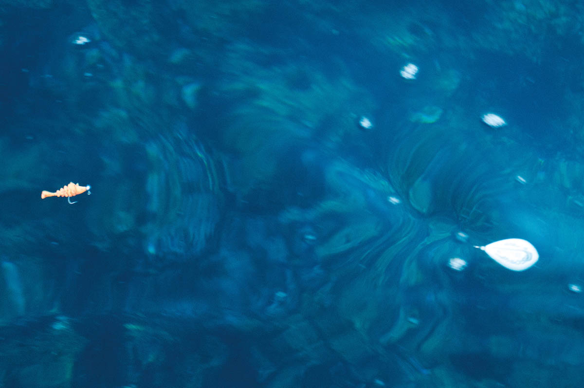 フロートリグの着水後の基本アクション解説