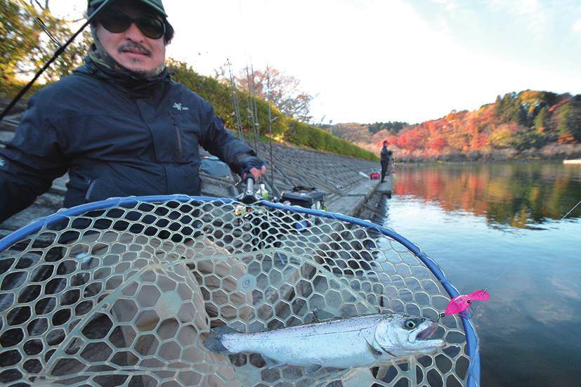 初心者におすすめのクランクベイト
