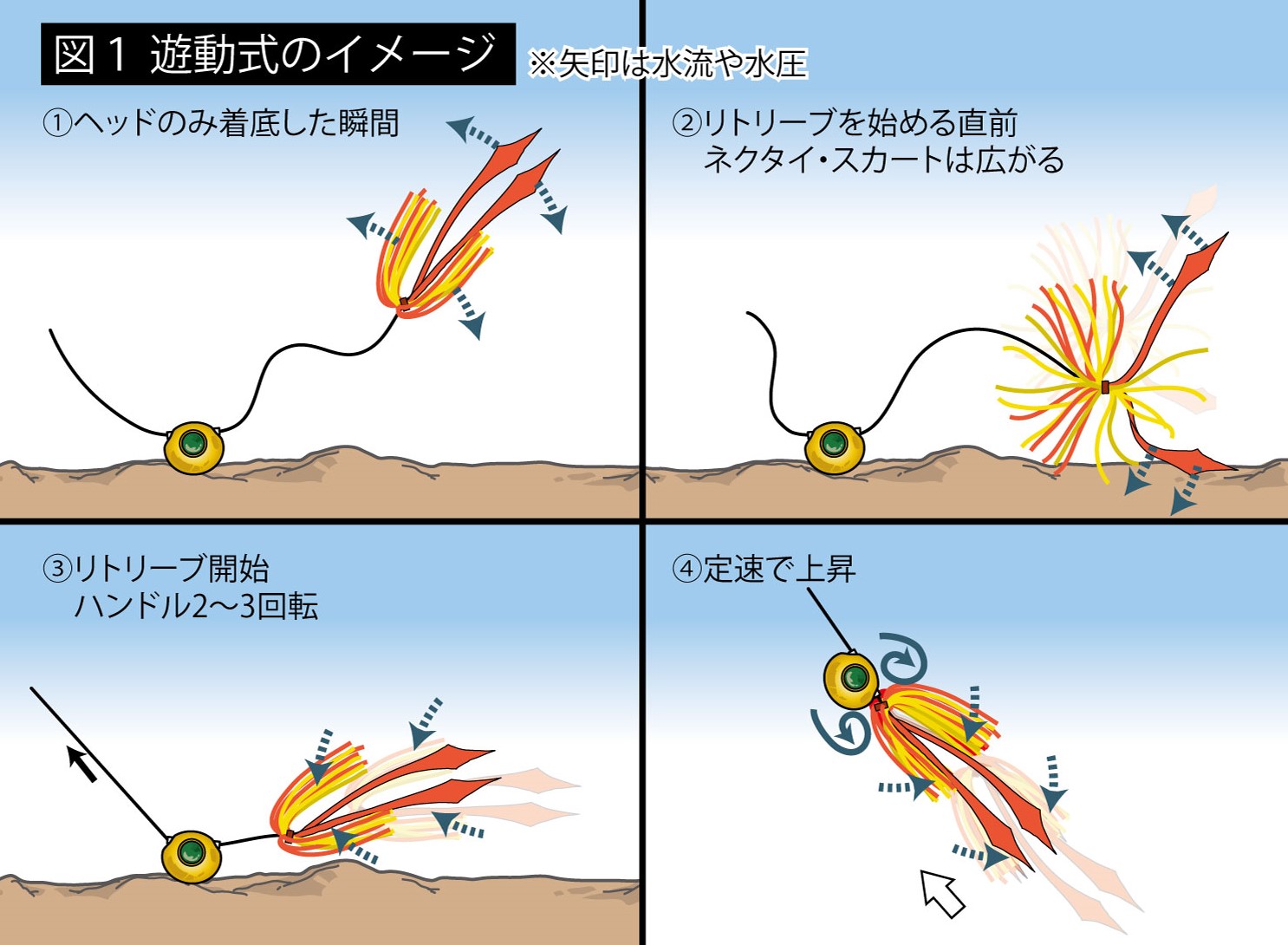 遊動式の水中イメージ