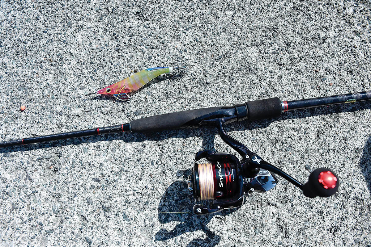 エギングタックル